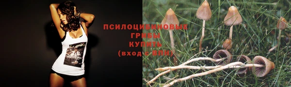 mdpv Россошь