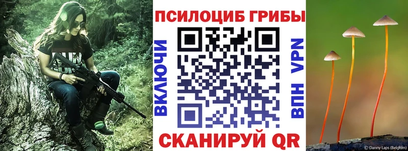 Псилоцибиновые грибы Psilocybine cubensis  Купить  Щёлкино 